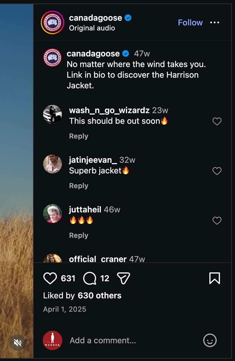 Instagram comments on Canada Goose wind campaign post
